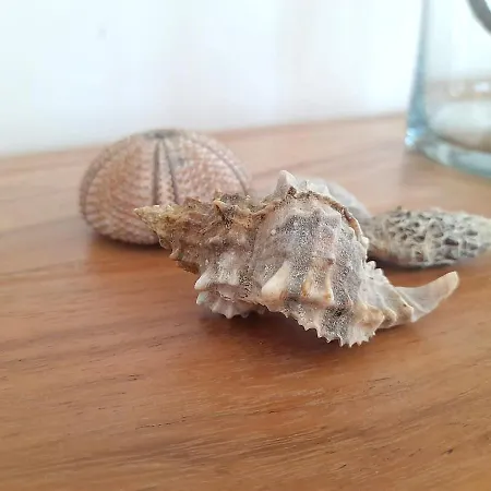 Vilă Agrielia Pondi